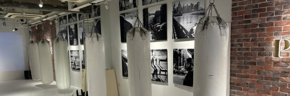 GoGoキックボクシングの画像