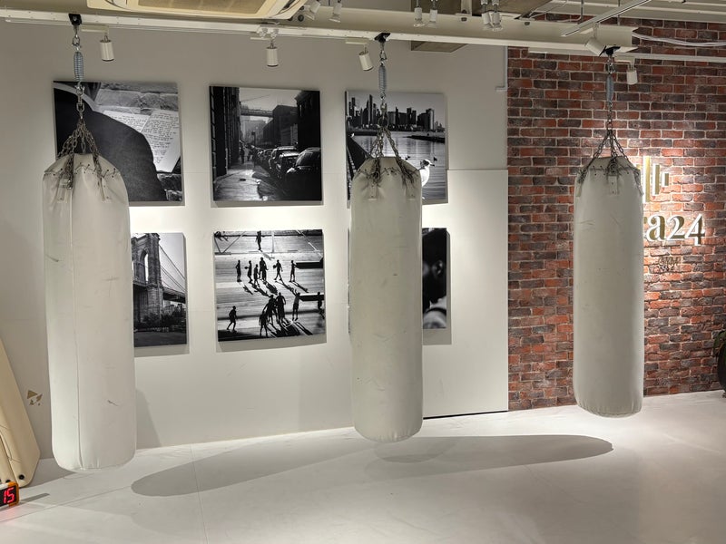 GoGoキックボクシングの画像