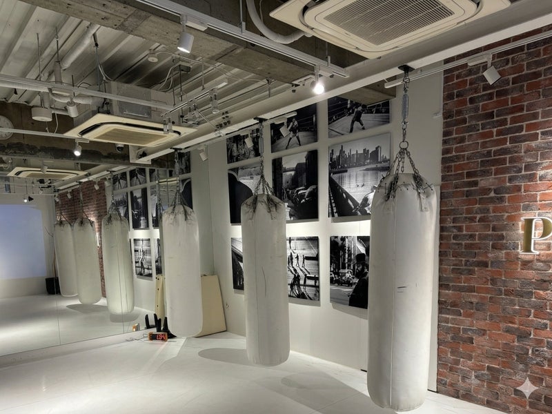 GoGoキックボクシングの画像